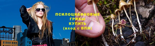ALPHA-PVP Остров
