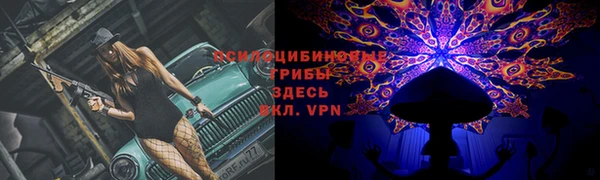 spice Осинники