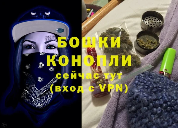 spice Осинники