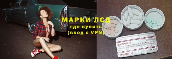 spice Осинники