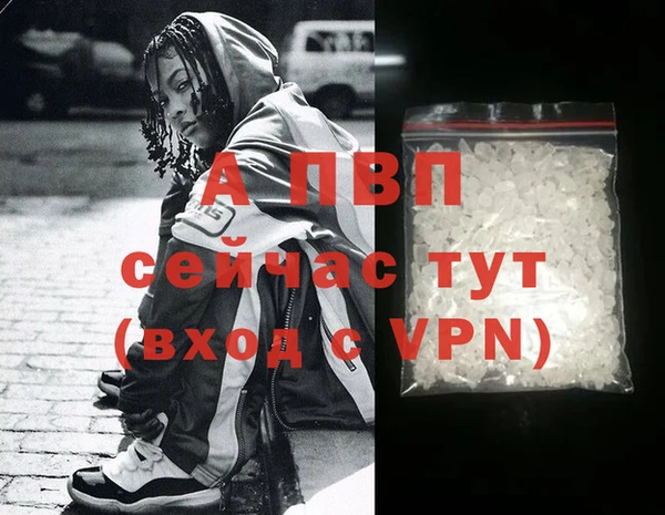 spice Осинники