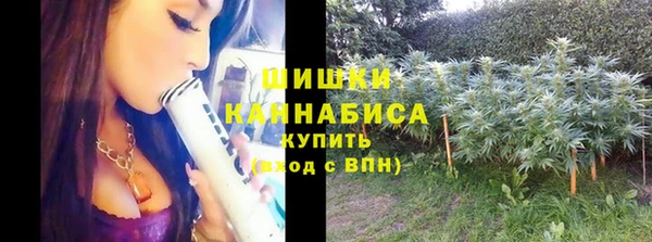 сатива Осташков