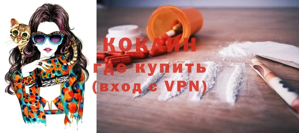 spice Осинники