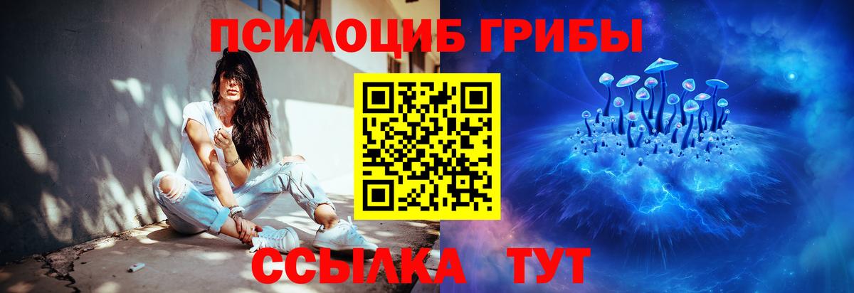 Галлюциногенные грибы GOLDEN TEACHER Ногинск