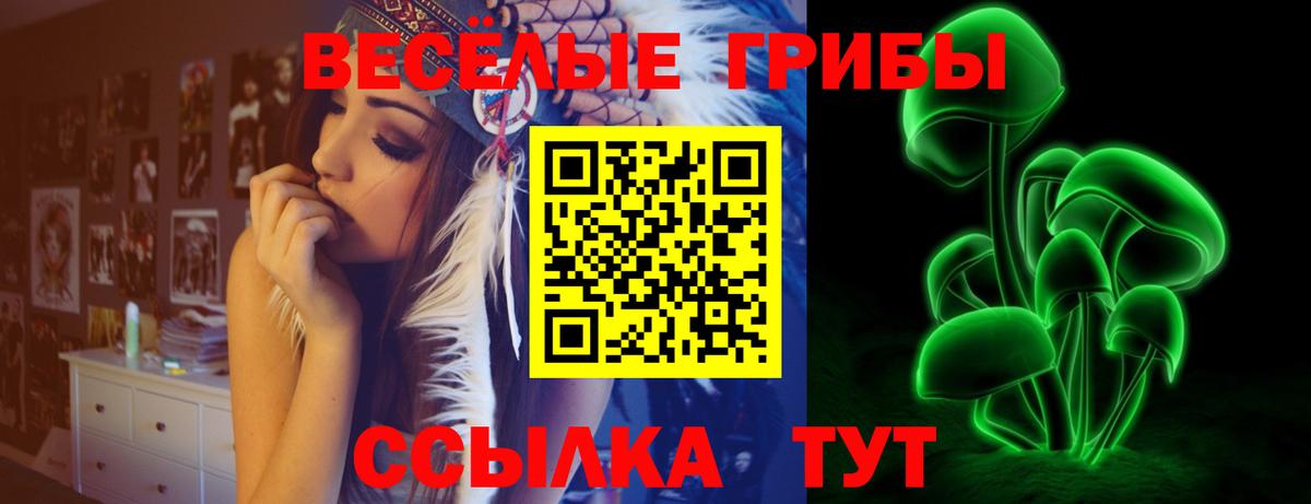 Ногинск  Псилоцибиновые грибы прущие грибы  Псилоцибиновые грибы GOLDEN TEACHER  Вход с VPN 