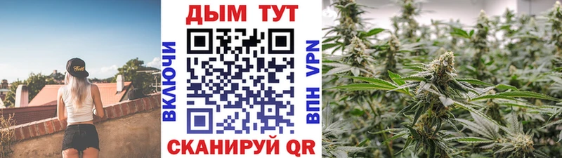 Бошки марихуана VHQ Ногинск